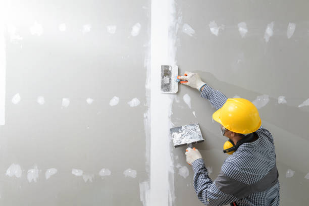 Best Fire-Damaged Drywall Repair  in Eldon, MO